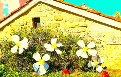 Mondariz-Balneario House | La Casa del Bosque del Agua y SPA Prexigueiro Obsequio entrada por persona a circuito termal