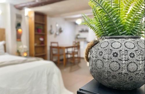 Genoa Historical Centre Apartment | La casa del Duca