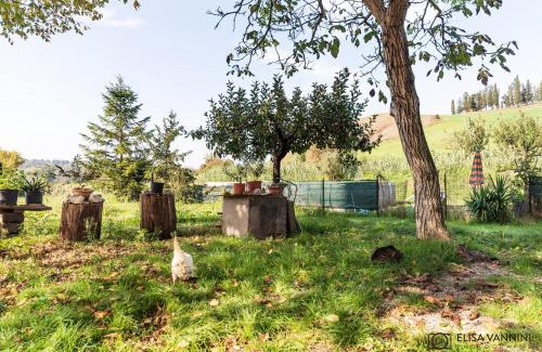 Fabbrica House | La Casa Sull'Aia