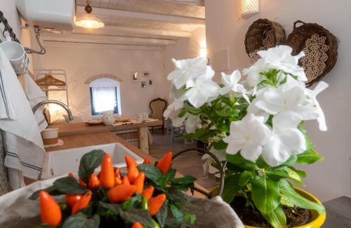 Castellana Grotte Apartment | La Casetta di Erasmina