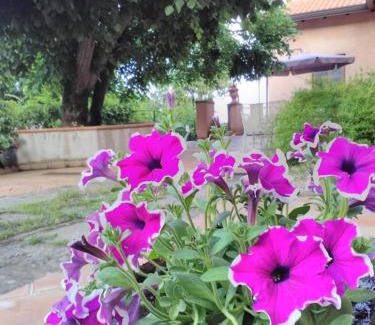 Zafferana Etnea Bed & Breakfast | La corte di Bafè B&B "Slow Life"