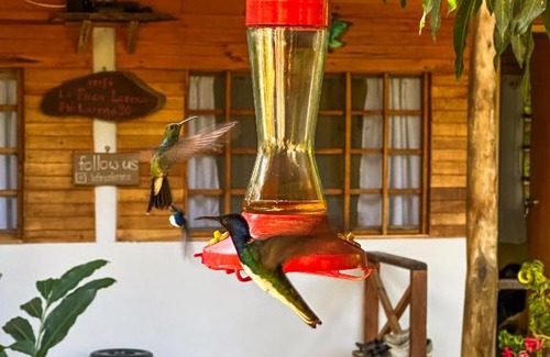 Canaveral Hostel | La Finca Lorena Tayrona