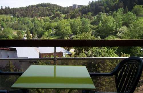 Villard-de-Lans Apartment | La Grande Moucherolle