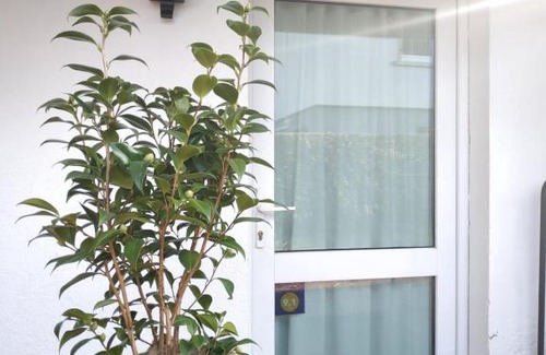 Schiltigheim Bed & Breakfast | La Malle - la suite