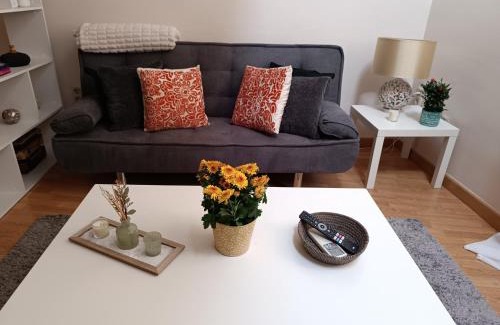 Toledo City Center House | La Morada de Toledo