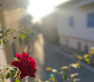La Morra Apartment | La tana della Volpe e l'Uva
