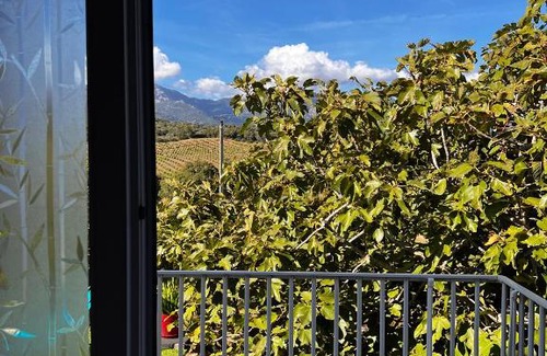 Figari Bed & Breakfast | La Tramulaccia