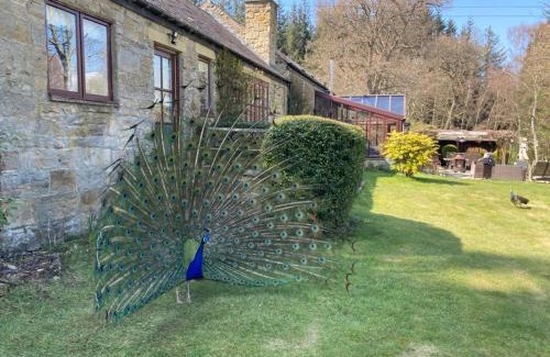Consett Apartment | Lakewood Courtyard Northumberland
