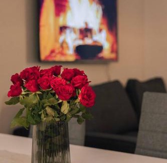 Rovaniemi Apartment | Lapinmaa Apartments