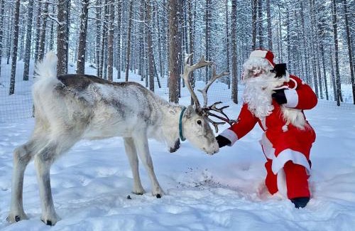 Ranua Villa | Lapland Lakefront Villa - Northern Lights & Safari