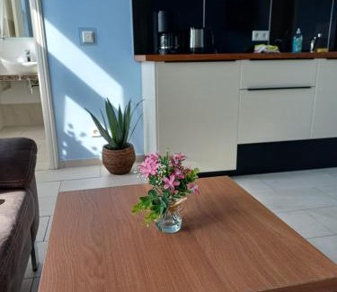 Tecklenburg Apartment | Lateinschule