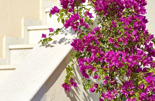 Messaria House | Le Blanc Suite