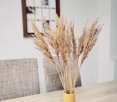 Saint-Louis Apartment | Le chaleureux, 5min Bâle,Parking