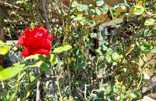 Orbetello House | Le Colline Del Parco