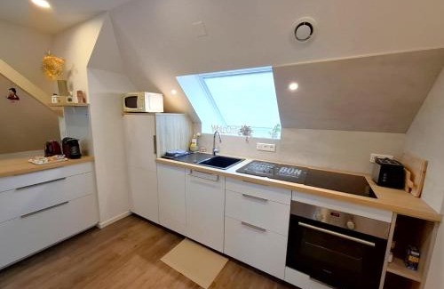 Saverne Apartment | Le Jardin des Roses