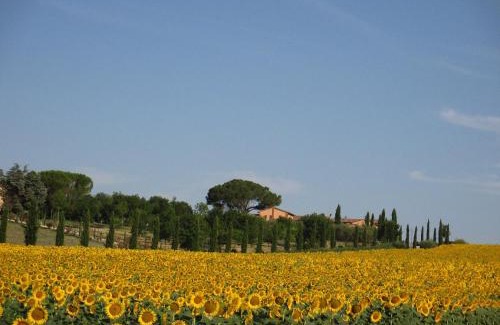 Castiglione del Lago Apartment | Le More E I Gelsomini