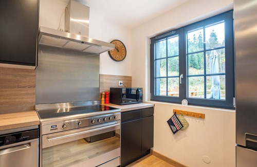 Ban-sur-Meurthe-Clefcy Apartment | Le Perchoir 9 people, Grand Valtin, full nature