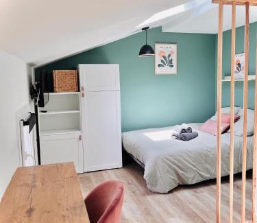 Agen Apartment | LE QUAI 6 - Studio neuf CALME LUMINEUX - CLIM - WiFi - Gare à 200m