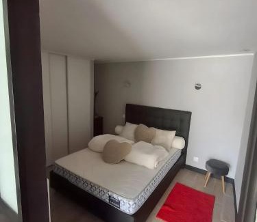 Coulounieix-Chamiers Apartment | Le Repaire de Belette