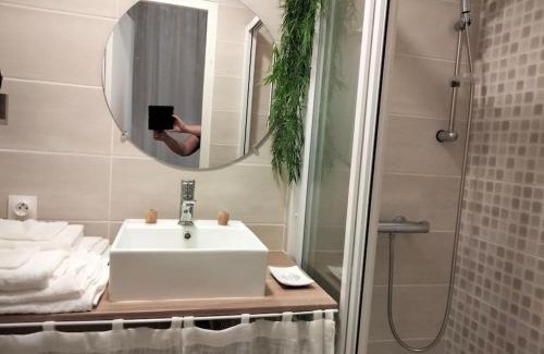 Cœur de Ville Apartment | LE SAINT LOUIS - Hypercentre - Opéra - Proche Parcs