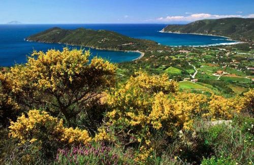Magazzini Apartment | Le Tortore - Villetta vista mare