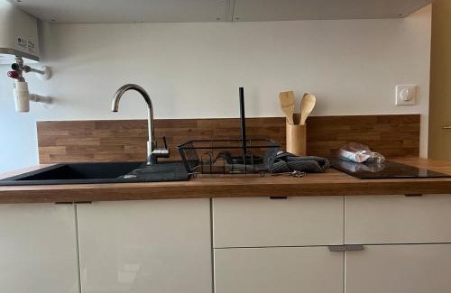 Faubourg Saint-Jacques Apartment | Le Velours