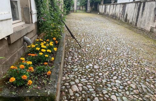 Lure Apartment | Les Jardins d'Élise, calme et verdure à Lure