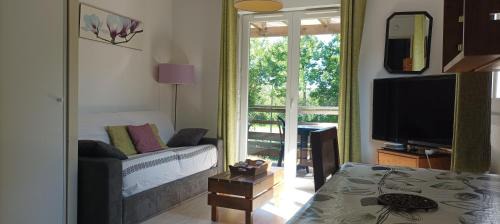 Aureilhan Apartment | Les Terrasses du Lac piscine A4