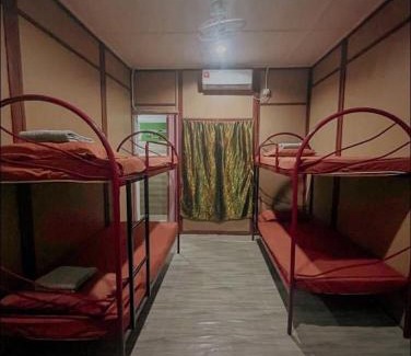 Kuala Tahan Hostel | Liana Hostel Taman Negara