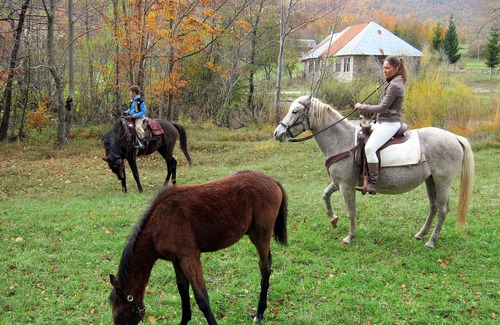 Velika Plana Apartment | Linden Tree Retreat & Ranch