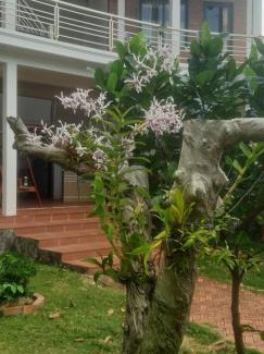 An Thoi Cabin | Linkin House