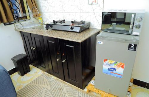 Manyoni Apartment | Lion's Den Studio Apartment near town -A hidden Gem
