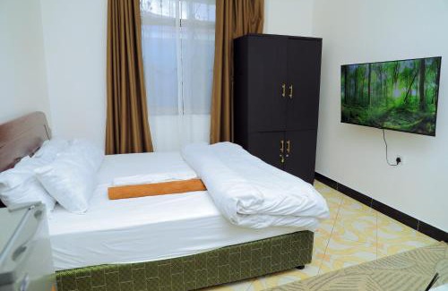 Manyoni Apartment | Lion's Den Studio Apartment near town -A hidden Gem