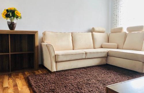 Satu Mare Apartment | Little Cute Homey Apartman