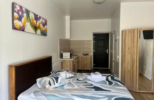 Centrul Vechi Apartment | Livada Studio Apartments