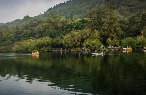 Naukuchiyatal Resort | LivingStone Lake View Cottage