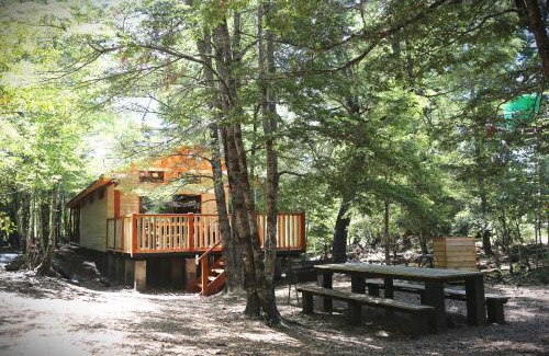 Curacautin Cabin | Llaima Camp