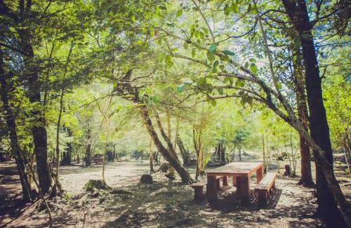 Curacautin Cabin | Llaima Camp
