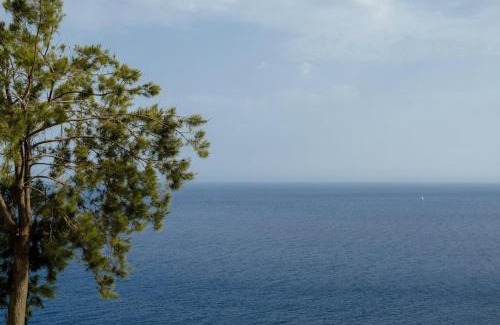 Camara de Lobos Apartment | Lobos Bay-Apartment With Unique Sea Views
