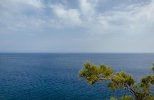 Camara de Lobos Apartment | Lobos Bay-Apartment With Unique Sea Views