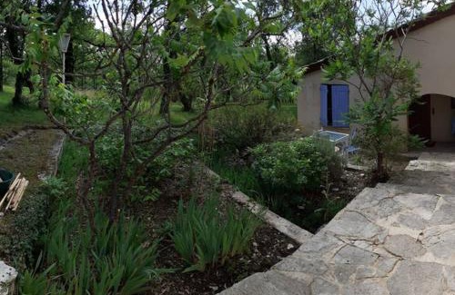 Saint-Cirq-Souillaguet House | Location gîte proche Gourdon (46300) 4 à 6 personnes