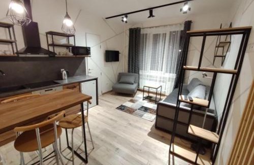 Kosuv Stary Apartment | Loft возле парка, стадиона и озера
