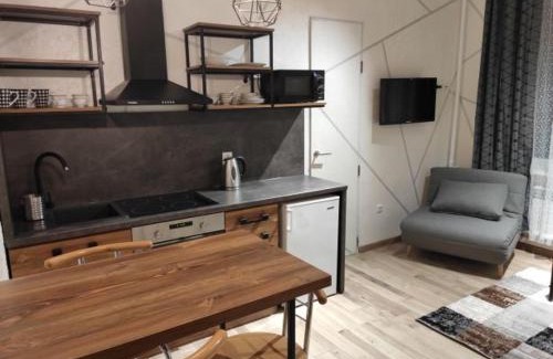 Kosuv Stary Apartment | Loft возле парка, стадиона и озера