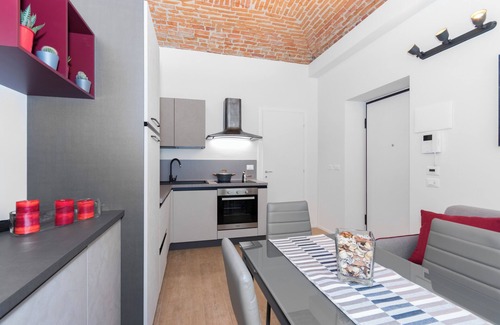 Vanchiglia Apartment | Loft del conte nei pressi della Mole