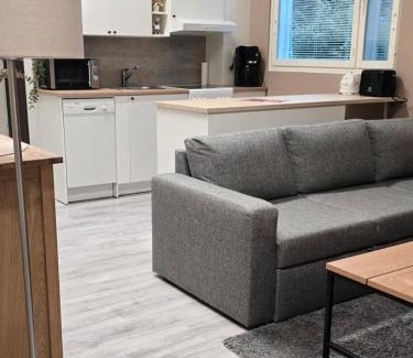 Savonlinna Apartment | Loft- huoneisto matkustajasatamassa
