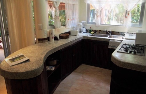 Chemuyil Apartment | Loft In The Jungle With Kitchen, and surrounded by nature