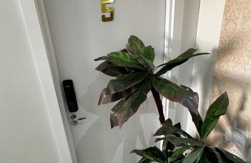 Esplanada Apartment | Loft Lux SM 05 (Smart TV, Ar condicionado, Cozinha)