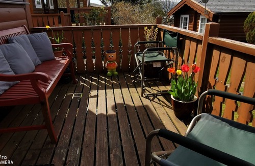 Bronaber Cabin | Log Cabin - Free Parking, Garden & pet Friendly