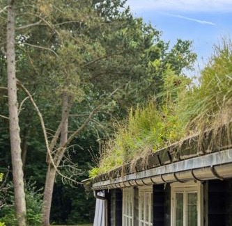 Dronningmolle House | Log House In Dronningmølle, 150 M To The Beach