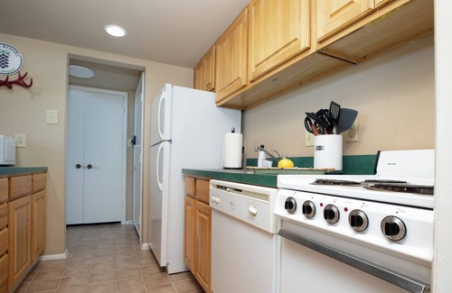 Mount Jackson Condo | Logan Lodge (Unit #135) | Ski/MTB/Golf | Ski slope & Resort valley views | Vaulted ceilings!
